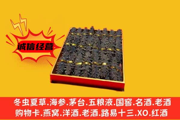 三亚海棠区回收海参